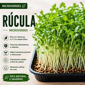 Microverdes Rúcula Surya: 500 Sementes