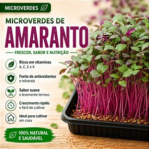 Microverdes Amaranto: 500 Sementes