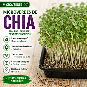 Microverdes Chia: 500 Sementes