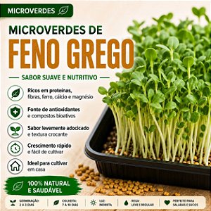 Microverdes Feno Grego: 250 Sementes
