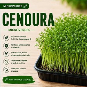 Microverdes Cenoura: 500 Sementes