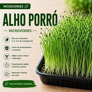 Microverdes Alho Poró: 500 Sementes