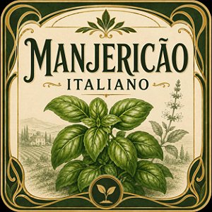 Manjericão Italiano (Genovês) - Ocimum basilicum - 20 Sementes
