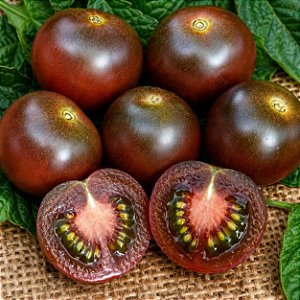Tomate Cereja Preto (Raridade): 100 Sementes