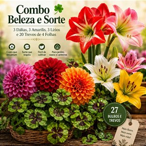 Kit Beleza e Sorte – 3 Amarilis, 3 Lirios, 3 Dálias e 20 Trevos de 4 Folhas