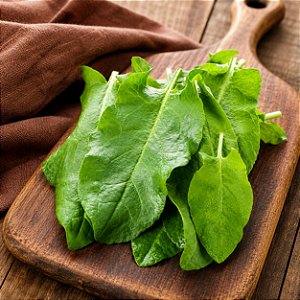 Azedinha (Vinagreira) - Large Leaf Sorrel: 100 Sementes