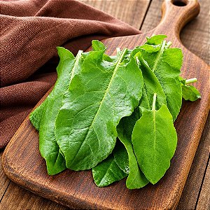 Azedinha (Vinagreira) - Large Leaf Sorrel: 100 Sementes
