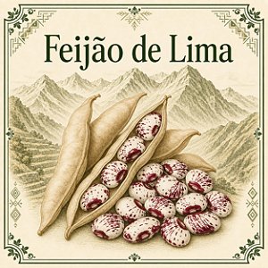 Feijão de Lima - Phaseolus lunatus - 3 Sementes