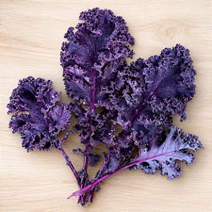 Couve Kale Roxa Arizona - 50 Sementes