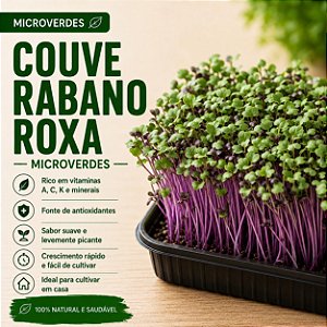 Microverdes Couve Rabano Roxa: 500 Sementes