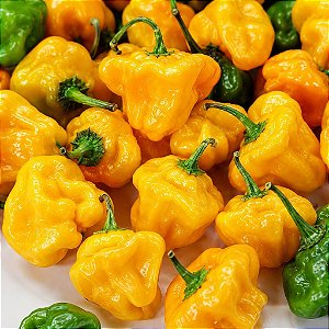 Pimenta Jamaican Yellow (Scotch Bonnet): 10 Sementes