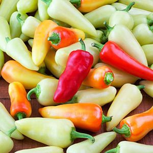 Pimenta Santa Fé Grande: 20 Sementes