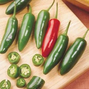 Pimenta Serrano: 10 Sementes
