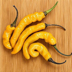 Pimenta Cayenne Amarela (EXCLUSIVIDADE) Caiena : 10 Sementes
