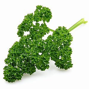 Salsa Crespa ORGÂNICO: 50 Sementes