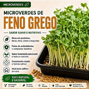 Microverdes Feno Grego: 250 Sementes