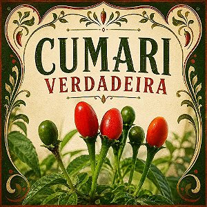 Pimenta Cumari Verdadeira (Pimenta Passarinho): 5 Sementes