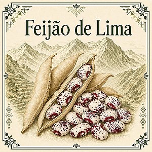 Feijão de Lima - Phaseolus lunatus - 3 Sementes