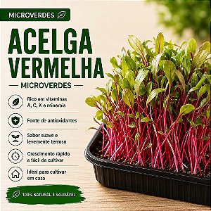 Microverdes Acelga Vermelha: 250 Sementes