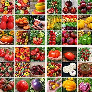 Tomates Sortidos - 100 Sementes