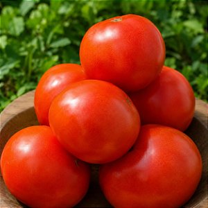 Tomate Kaiçara (Caiçara): 20 Sementes