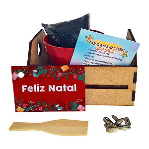 AL037 - Lembrancinha Caixote 3 mm com Embalagem Celofane - Natal