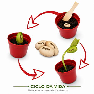 AL013 - Lembrancinha Vaso Grande com Semente Personalizada - Dia da Mulher