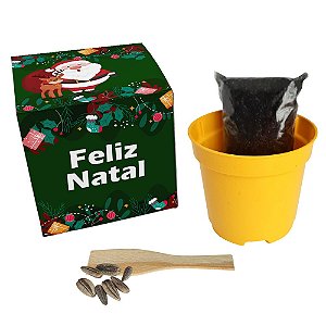 AL017 - Lembrancinha Eco Cubo Personalizado com Sementes - Natal