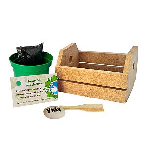 AL009 - Lembrancinha Caixote mdf com Embalagem Celofane e Semente Personalizada - Semana do Meio Ambiente