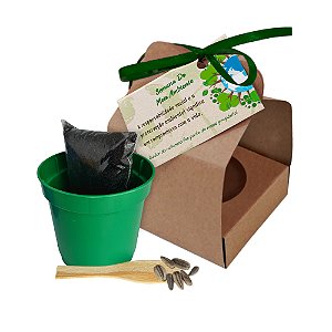 AL014 - Kit Cultivo Cestinha Kraft com Sementes de Flores ou Temperos -  Semana do Meio Ambiente