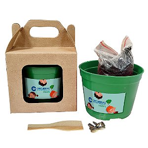 AL038 - Lembrancinha Kraft Visor com Sementes de Flores ou Temperos - Dia das Crianças