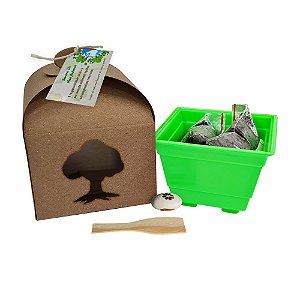 AL200 - Kit Cultivo Kraft Grande com Semente Personalizada - Semana do Meio Ambiente