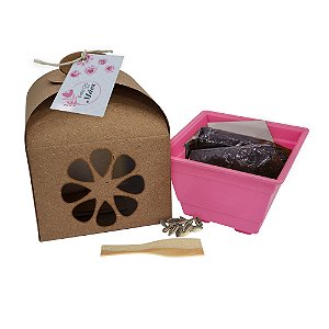 AL201 - Lembrancinha Cultivo Kraft Grande com Flores e Temperos - Dia das Mães 2