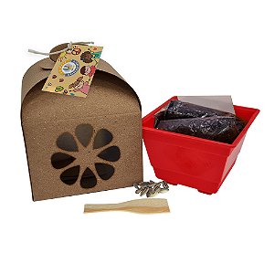AL201 - Lembrancinha Cultivo Kraft Grande com Flores e Temperos - Escolar