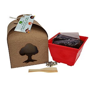 AL201 - Lembrancinha Cultivo Kraft Grande com Flores e Temperos - Dia das Crianças