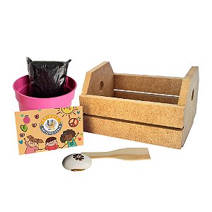 AL009 - Lembrancinha Caixote mdf com Embalagem Celofane e Semente Personalizada - Dia das Crianças