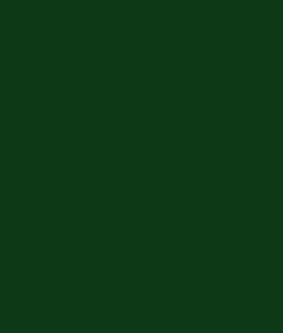 Tecido Tricoline Liso Verde Escuro