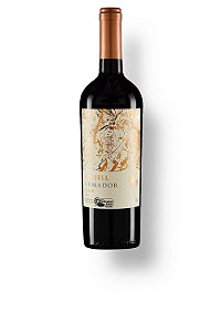 Odfjell Armador Syrah organico 2018