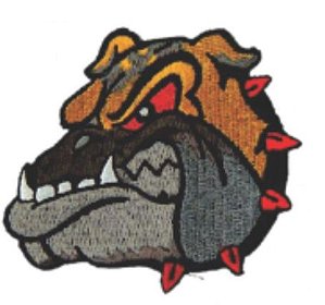 Patch Bordado Com Fecho De Contato Dog