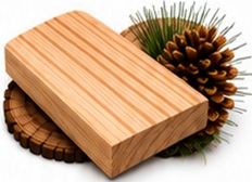 Pinus