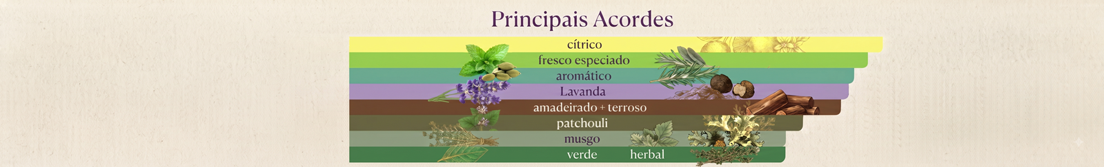 Banner Principais Acordes