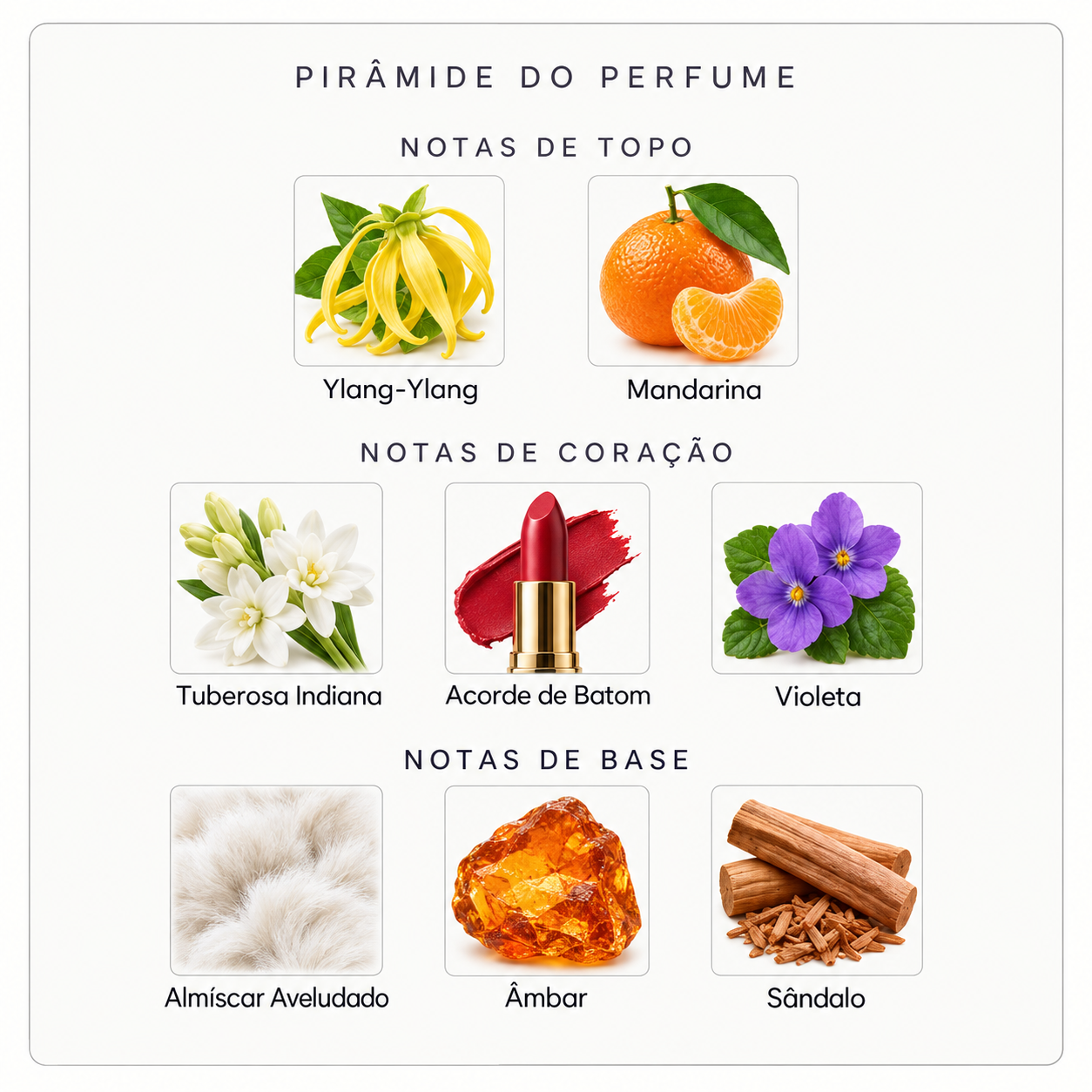 Pirâmide olfativa do Nishane Tuberoza X