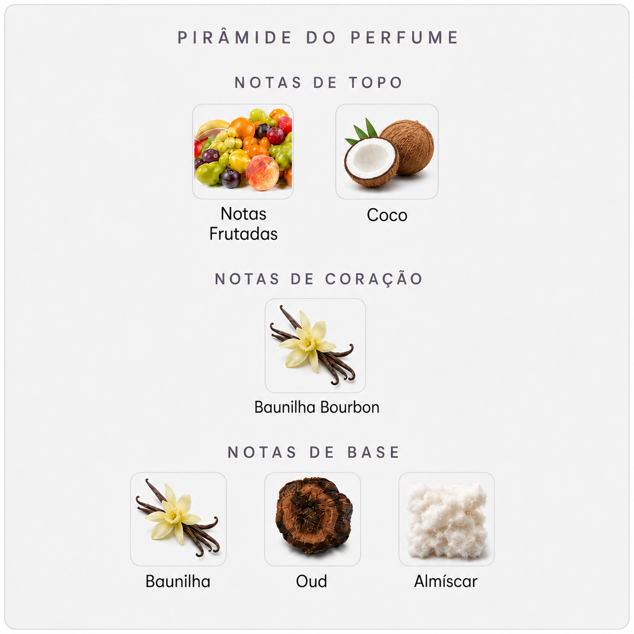 Pirâmide olfativa do Fragrance Du Bois Oud Orange Intense