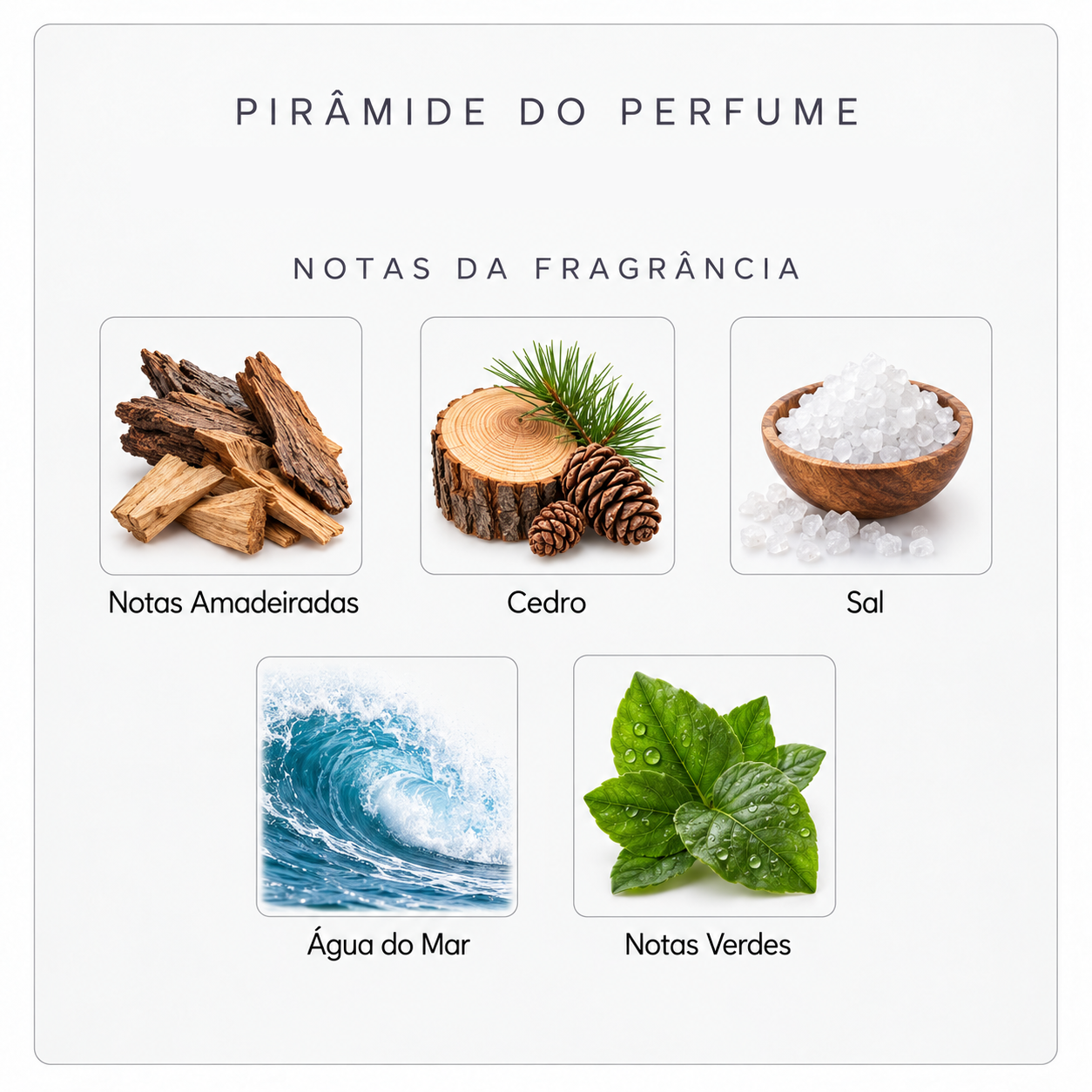 Pirâmide olfativa do Xerjoff 40 Knots