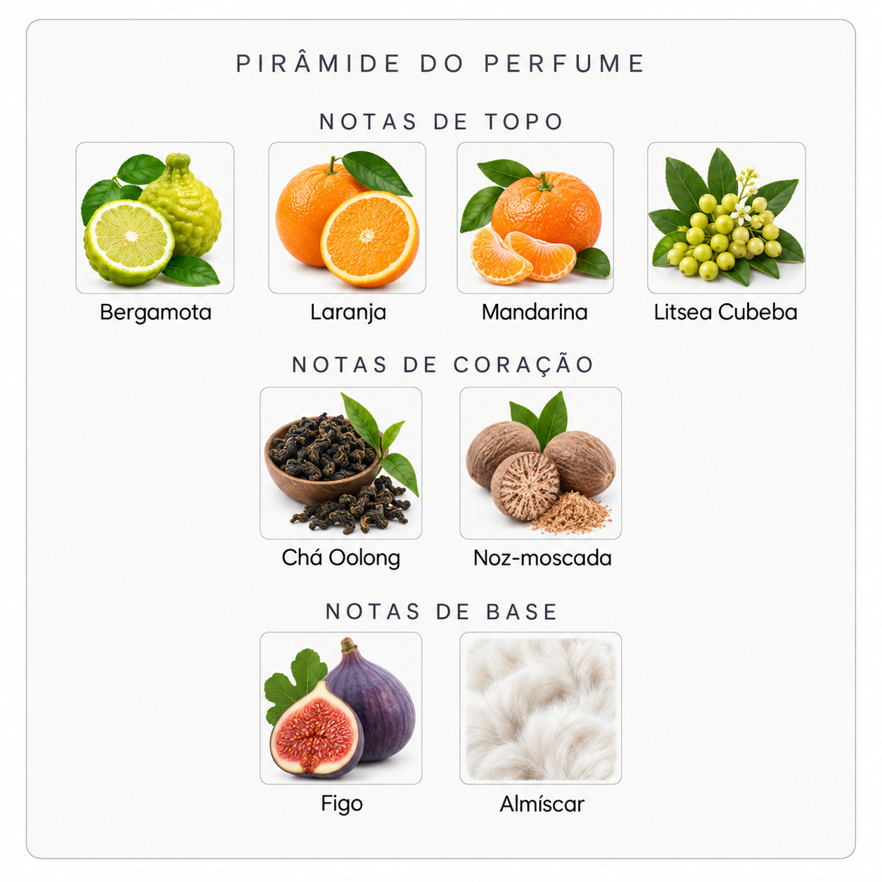 Pirâmide olfativa do Nishane Wulong Cha
