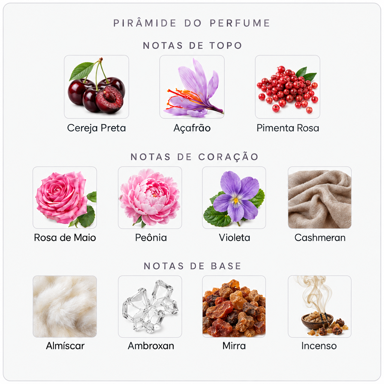 Pirâmide olfativa do Creed Carmina