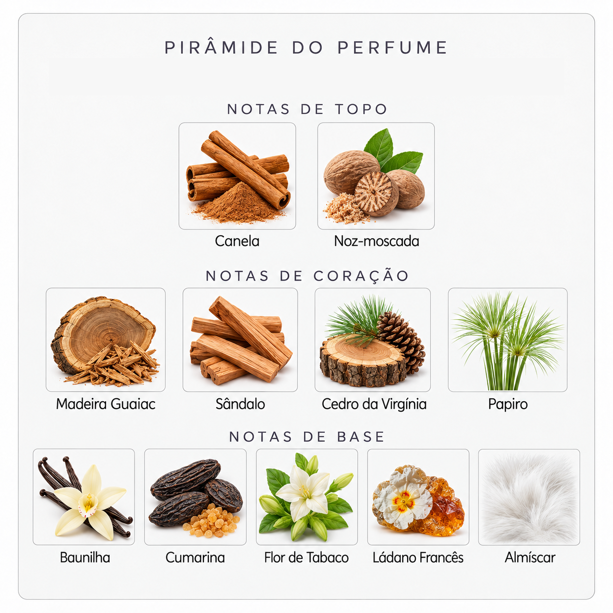 Pirâmide olfativa do Xerjoff Bouquet Ideale