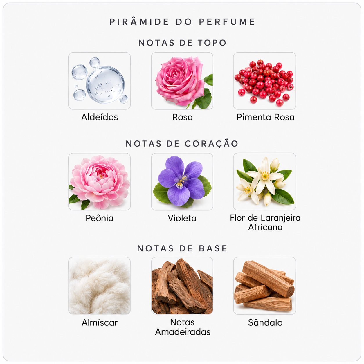 Pirâmide olfativa do Byredo Blanche