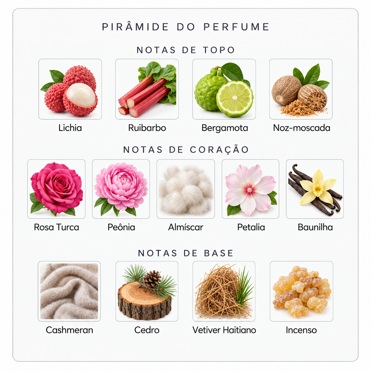 Pirâmide olfativa Parfums de Marly Delina