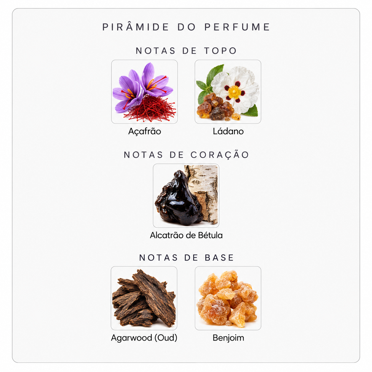 Pirâmide olfativa do Falcon Leather